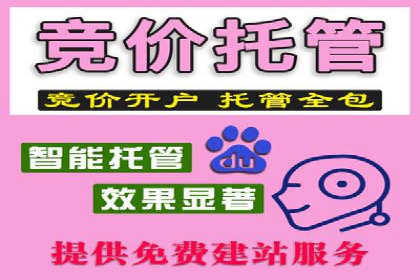 竞价SEM案例分享：电商行业SEM优化策略